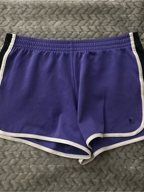 Danskin Now Purple Athletic Dolphin Shorts with White Trim and Black Side Panels